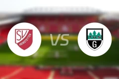 海姆斯特滕vs格瑞特瑞德比分预测【2025/11/29】