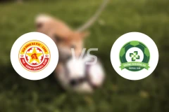 PVF人民公安B队vs同奈长鲜比分预测【2026/02/08】