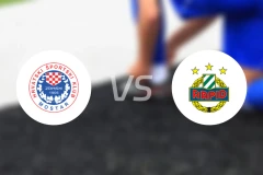 日林斯基vs维也纳快速比分预测【2025/12/19】