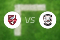 史卡保罗夫vs荷利霍特比分预测【2025/11/22】