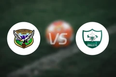 洛斯安第斯纳vs奥瓦莱队比分预测【2025/11/30】