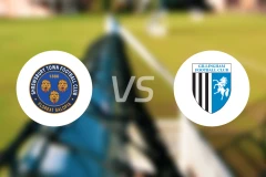 什鲁斯伯里vs吉林汉姆比分预测【2025/11/29】