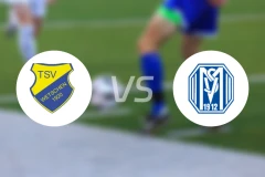 韦特申vsSV梅彭II队比分预测【2025/11/15】