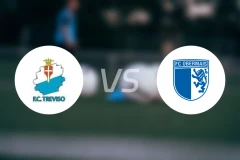 特雷维索vs奥伯马伊斯比分预测【2026/03/29】