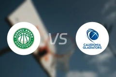 萨里89人vs喀里多尼亚角斗士比分预测【2025/12/13】