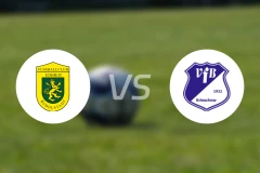 多尔施塔特vsVfB1921比分预测【2024/08/11】