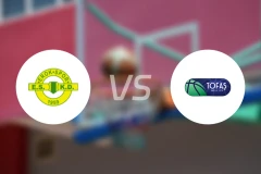 埃森勒vs托法斯比分预测【2025/11/01】