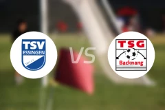 TSV埃辛根vsTSG巴克南比分预测【2026/04/11】