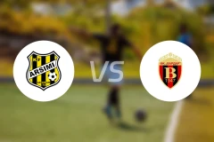 阿尔西米vs华达比分预测【2026/03/21】