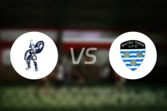 马特洛克vs威特比比分预测【2024/08/14】