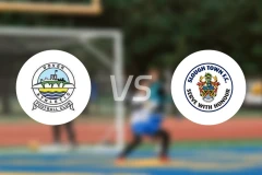 多佛vs史洛治比分预测【2025/11/29】