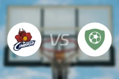 兰达斯vs维耶比分预测【2025/11/21】