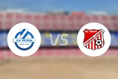 SV霍恩vs维也纳利尼恩比分预测【2025/11/22】