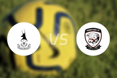 泰福特vs荷利霍特比分预测【2026/02/11】