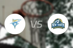 长岛大学vs纽黑文大学比分预测【2026/02/15】