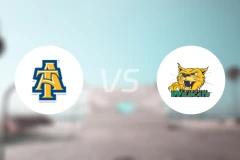 北卡罗莱纳农工女篮vs威尔明顿大学女篮比分预测【2026/02/14】