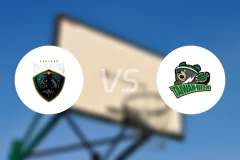 基隆黑鸢vs台湾啤酒比分预测【2026/01/30】