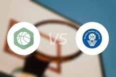 索尔塞登斯vs华路斯比分预测【2025/11/16】