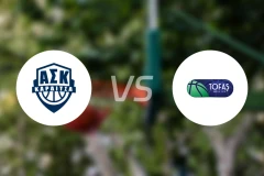 卡尔季察vs托法斯比分预测【2026/01/28】