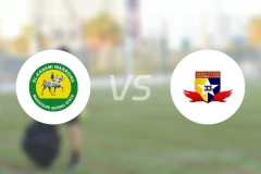 卡内米勇士vs雷莫之星比分预测【2026/03/29】