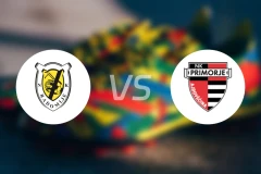 拉多姆列vs比摩治比分预测【2025/12/03】