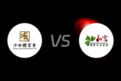 沙田vs和富社企比分预测【2025/10/19】