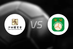 沙田vs东升比分预测【2026/03/22】