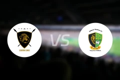 勒鲁莫狮子vs米德兰流浪者FC比分预测【2025/11/23】