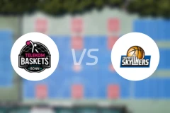 特力康vs法兰克福比分预测【2025/12/11】