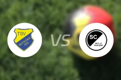 韦特申vsSC斯雷维巷比分预测【2026/03/28】