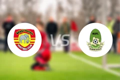 维克吉vs纳莎拉瓦比分预测【2026/02/01】