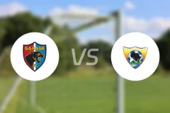 格拉奇FCvs皇家维锡昂比分预测【2026/02/21】