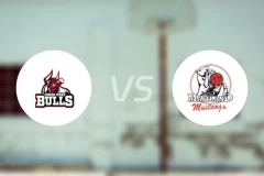 内西公牛女篮vs梅特兰野马女篮比分预测【2026/04/12】