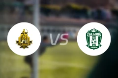 希奥利艾vs萨尔格里斯比分预测【2026/03/08】