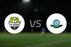 奥托贺vs辛吉达黑星比分预测【2026/02/01】