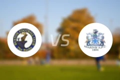 布顿vs海运联比分预测【2026/01/17】