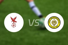 怀特豪克vs克雷比分预测【2026/03/14】