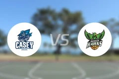 凯西骑士女篮vs灵伍德老鹰女篮比分预测【2026/04/17】