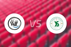 韦尔vs伊韦尔东比分预测【2025/11/22】