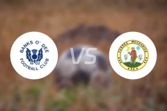 迪伊银行vs霍瑞斯比分预测【2026/03/07】