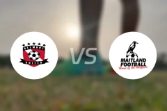 贝尔蒙特斯旺西SCvs梅特兰比分预测【2026/03/07】