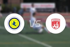 利斯vs诺德韦克比分预测【2026/01/24】