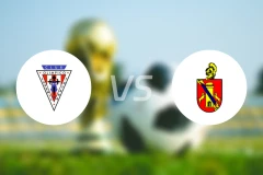 托塔纳vs埃尔帕尔马比分预测【2026/02/09】