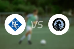 苏德罗vs戈塔维京人比分预测【2025/10/19】