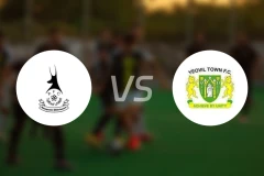 泰福特vs耶奥维尔比分预测【2026/01/31】