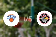 韦斯特彻斯特尼克斯vs科利奇帕克天鹰比分预测【2025/12/03】