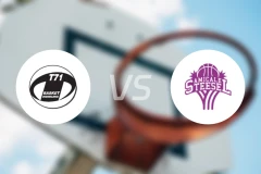 迪德朗日vs阿米卡莱斯泰塞尔比分预测【2026/02/14】