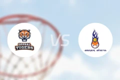 奥普沙尔猛虎vs阿斯克外侨比分预测【2024/11/28】