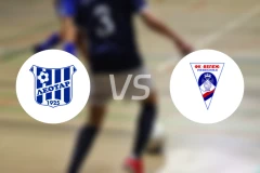 莱奥塔尔vs维勒兹内韦西涅比分预测【2025/11/01】