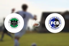 DJK阿德勒联合vs布德里奇比分预测【2026/03/29】